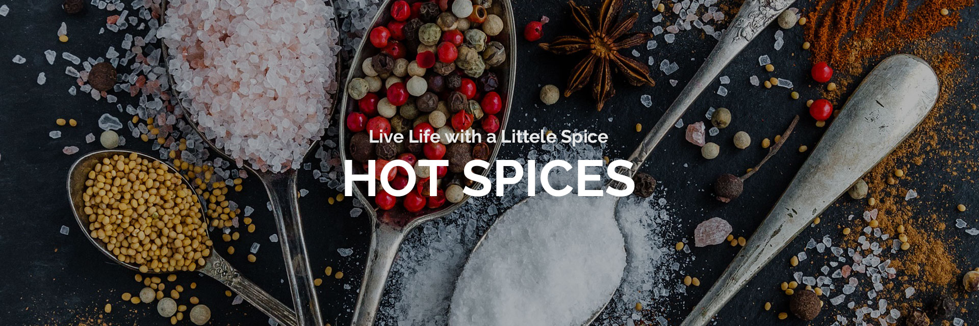 Spices Slider 1 - Banner 1